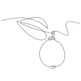 line art of a lemon
